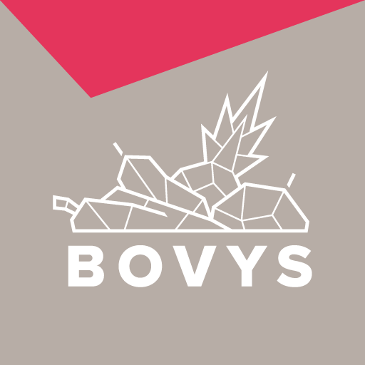Bovys logo